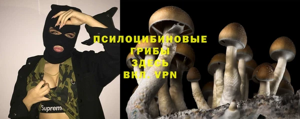 бутират Алзамай