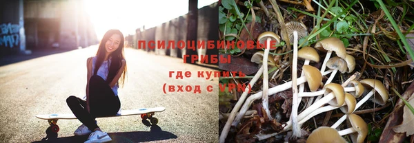 бутират Алексин