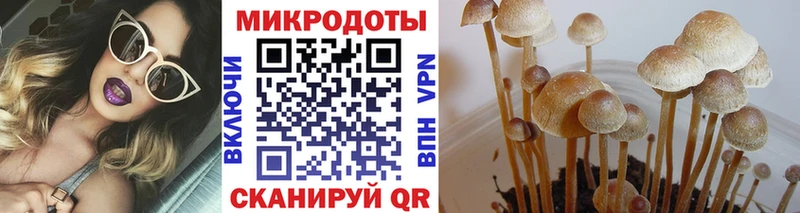 Псилоцибиновые грибы мухоморы Воткинск