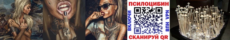 Галлюциногенные грибы мицелий  купить  сайты  нарко площадка официальный сайт  Воткинск 