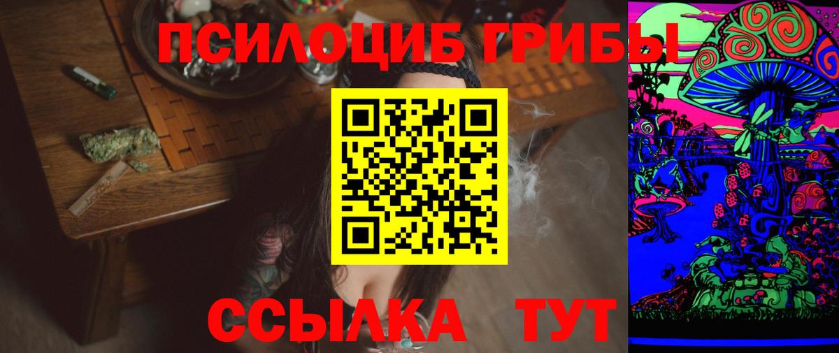 Псилоцибиновые грибы Psilocybe Воткинск